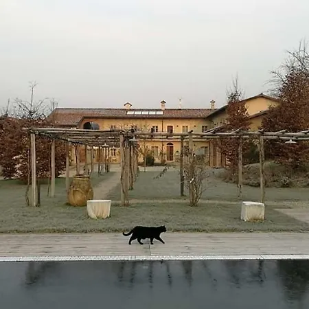 A Mira 'd Novel Novello